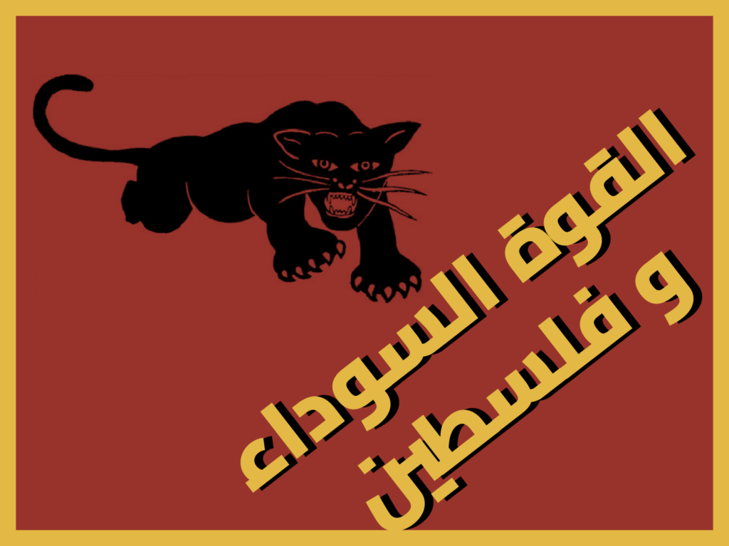 Graphic with the logo of the Black Panther Party that says, Black power and Palestine in Arabic.